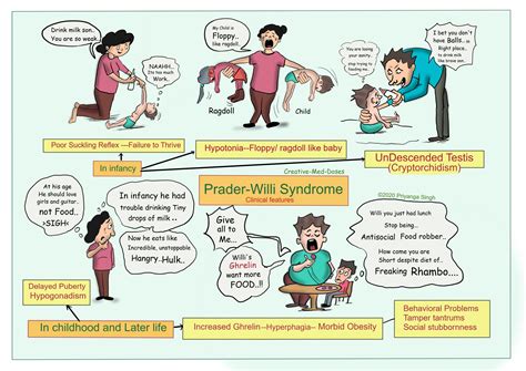 prader willi syndrome treatment.